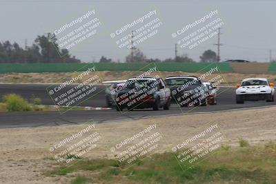 media/May-04-2024-Lucky Dog Racing (Sat) [[d39539b3f3]]/Race Pics/1130am (Turn 8)/